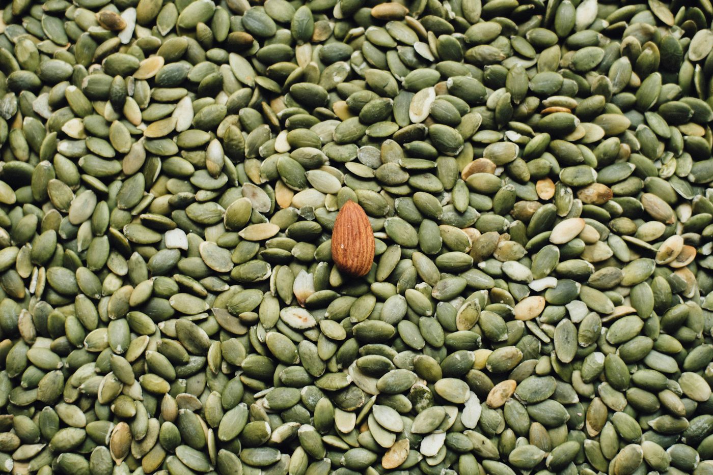 Sesame Seeds
