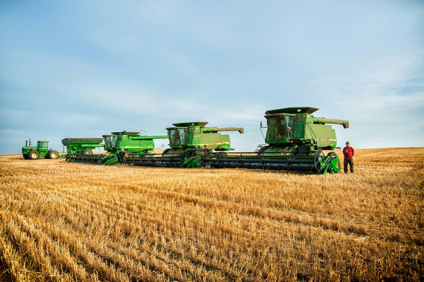 Soybeans