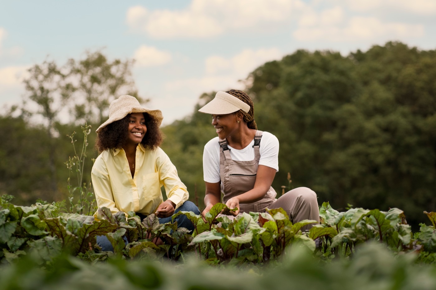 Farmer engagement